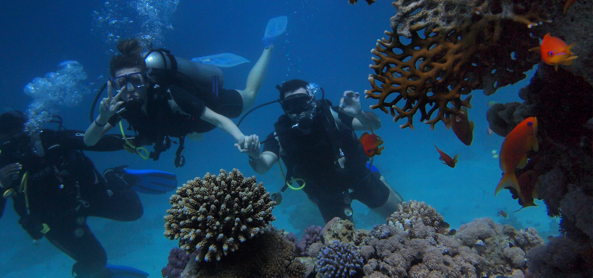 Gain the PADI certification for free diving worldwide